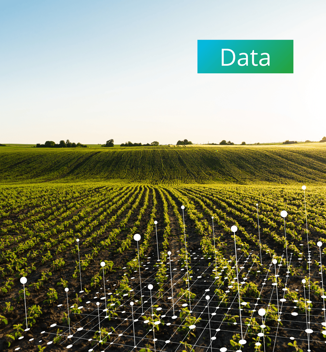 Eaden est un expert data qui aide les exploitations agricoles à capter et stocker leurs données.