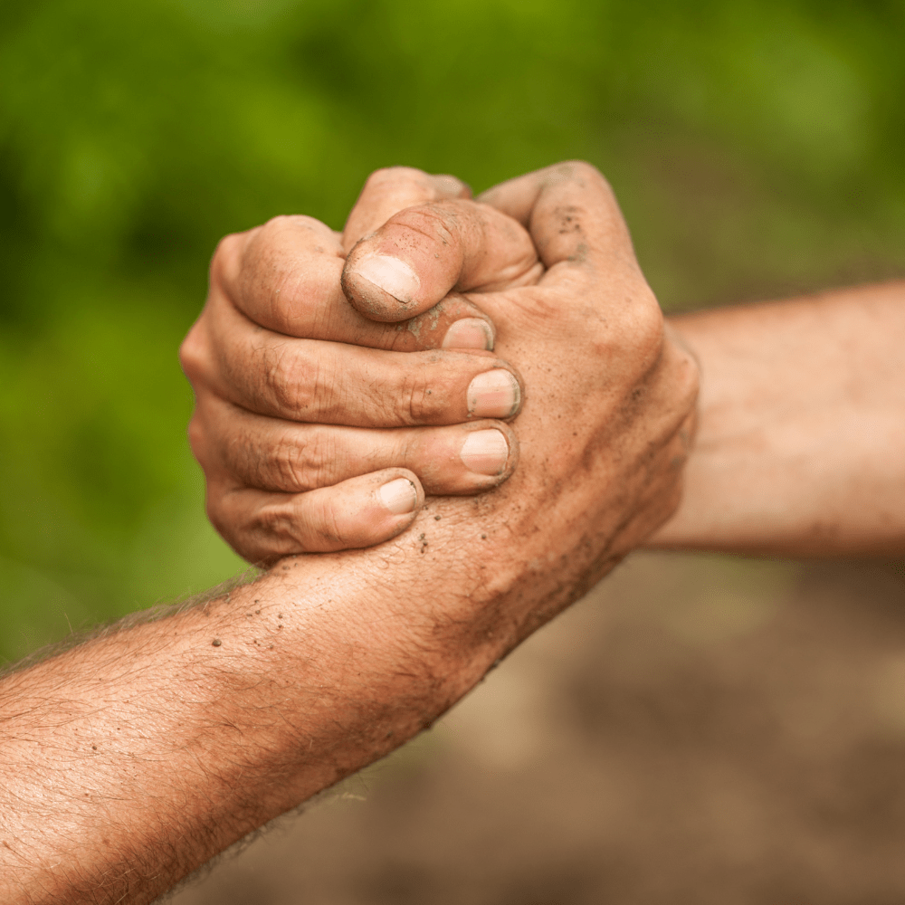 Eaden développe des solutions innovantes Data et IA pour l'agriculture